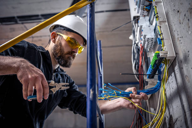 Best Electric Panel Repair  in Wylie, TX